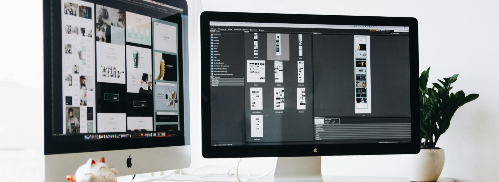 Web Development